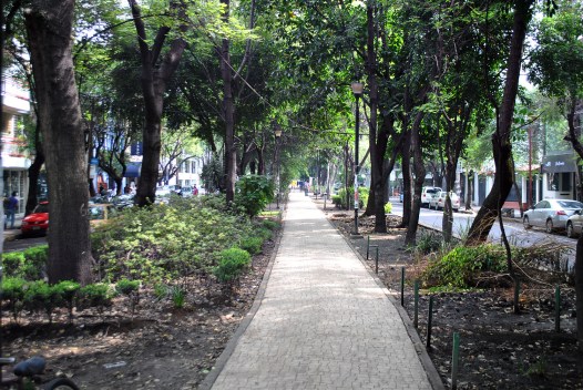 avenida-mazatlan-condesa